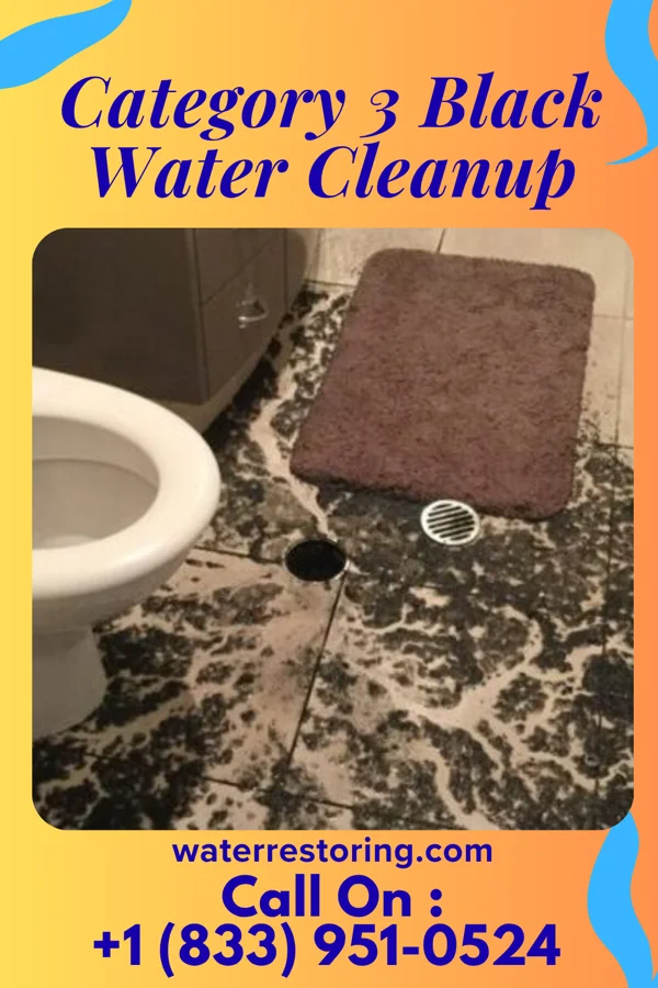 Category 3 Black Water Cleanup in Brule, NE
